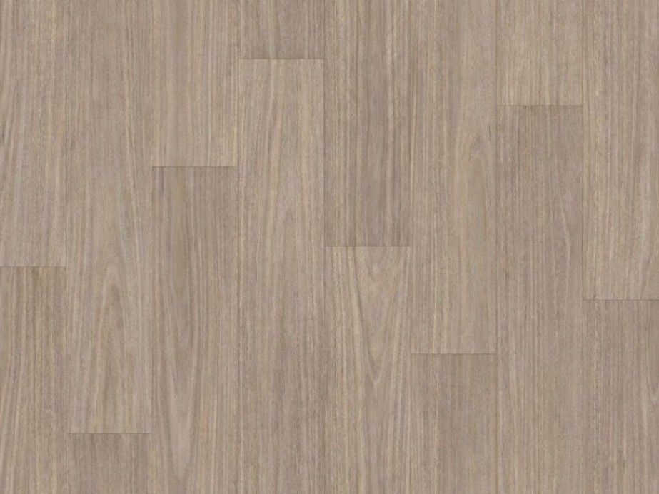 Taralay Emotion