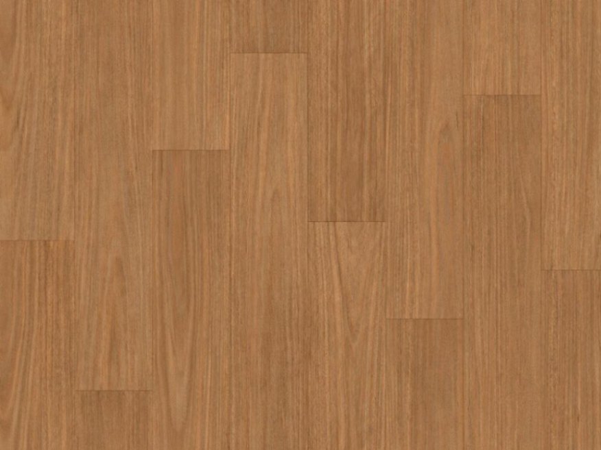 Taralay Emotion